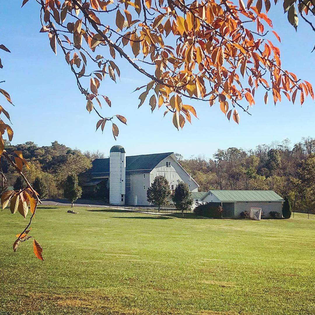 44661614_188375568705722_9088914512240705536_n-1